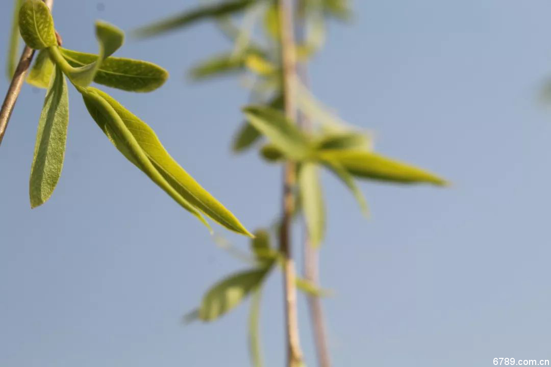 山東力明科技職業(yè)學(xué)院