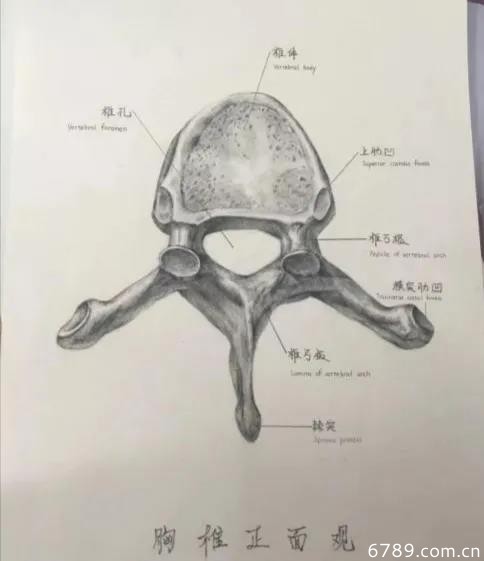 山東力明科技職業(yè)學院