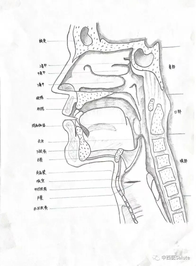 山東力明科技職業(yè)學院