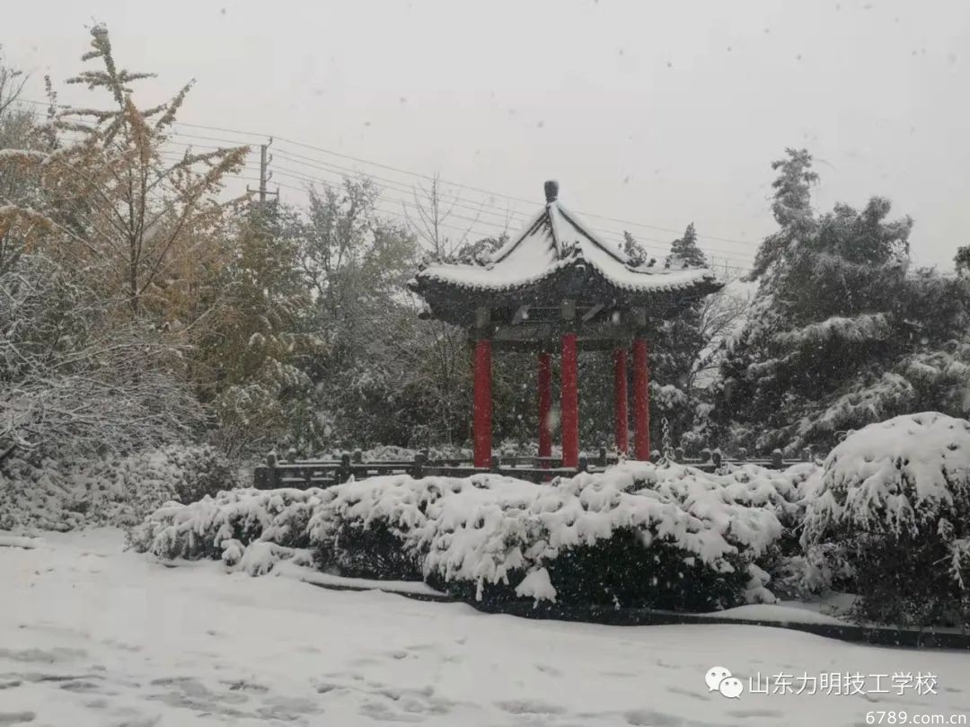 山東力明科技職業(yè)學(xué)院