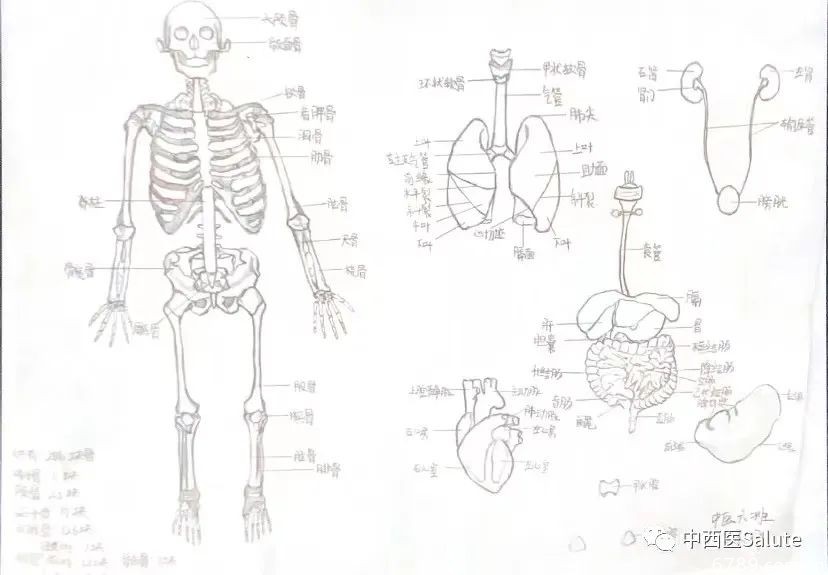 山東力明科技職業(yè)學院