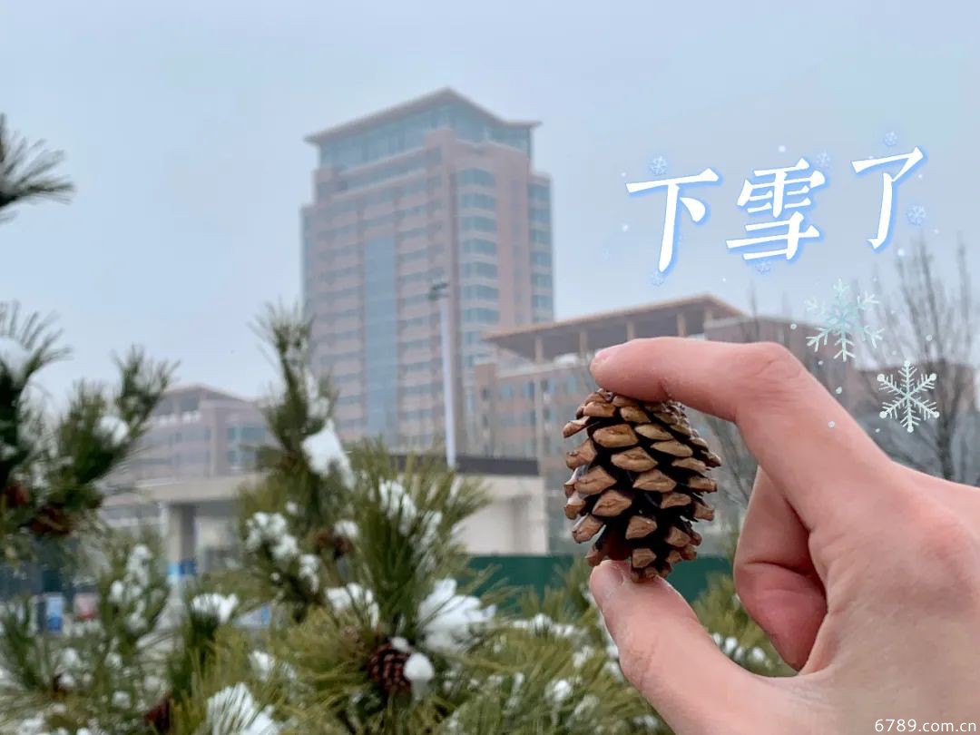 山東力明科技職業(yè)學院